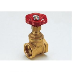 SARACINESKE ME TIMON 1/2